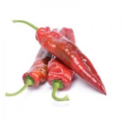 Belissa F1 Kapya Biber Fidesi