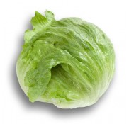 Cartagenas İceberg Marul