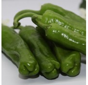 Dilek F1 Üçburun Biber Fidesi