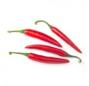 Habib F1 Acı Şili Biber Fidesi