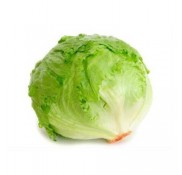 İceberg Marul Fidesi