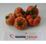 Kuzey Köy Oturak F1 Domates Fidesi