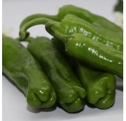 Muzzo F1 Üçburun Biber Fidesi