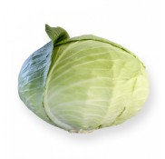 Zuleima Rz F1 Beyaz Lahana Fidesi